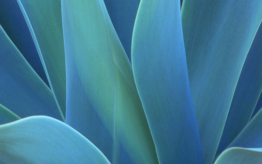 462820 (a): :1920x1200